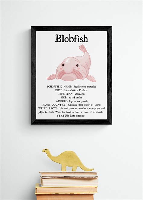 Blobfish Facts