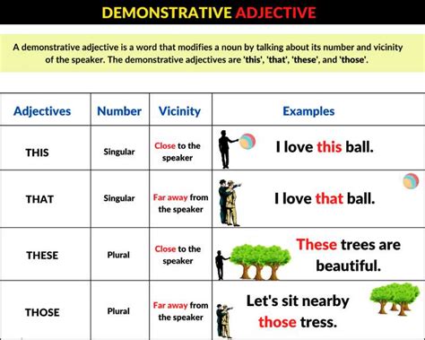 Jenis Adjektiva Dalam Bahasa Inggris