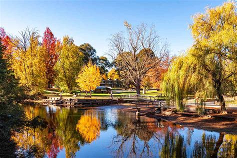 The Best Places To See Stunning Autumn Leaves In Victoria Racv