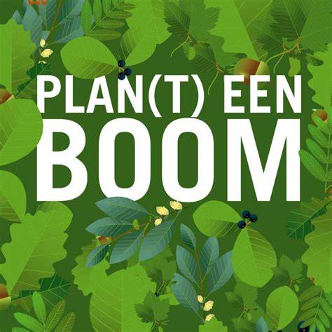 Plant Een Boom In Rotterdam Rmc