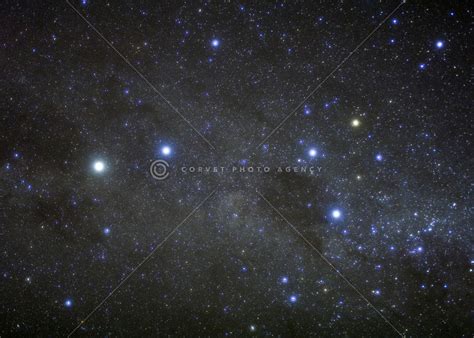 Corvet Photo Agency