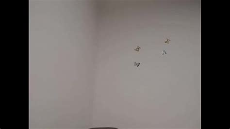 Caribe Videos XVIDEOS