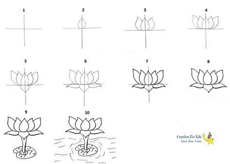 How To Draw A Lotus Step By Step Tutorial In Lotus Flower