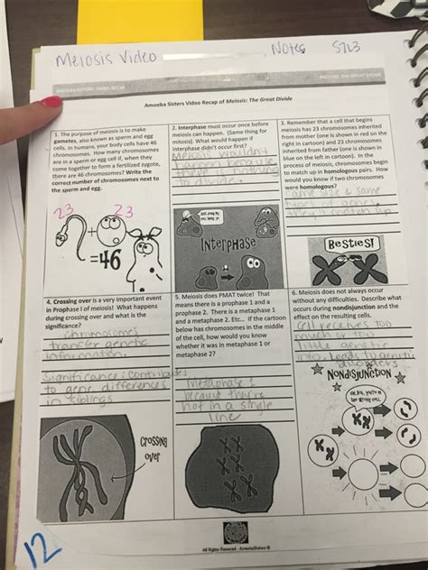 Amoeba Sisters Video Recap Of Mitosis Vs Meiosis Answer Key Pdf ...