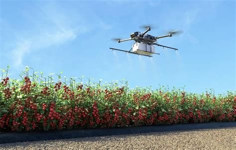 Premium Photo Drone Spraying Fertilizer Tomato Garden Smart Farming