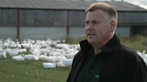 Brexit East Anglian Turkey Farmers Warn Of Christmas Shortage Bbc News