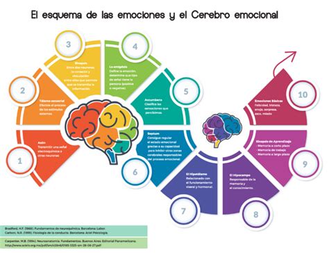 El cerebro y las emociones psicología Vida Emocional