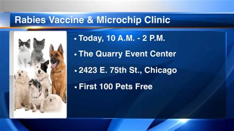 Free rabies vaccine: Cook County IL offering residents free rabies ...