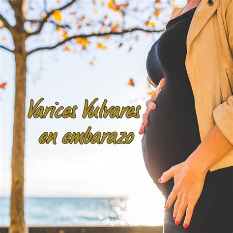 Varices Vulvares En Embarazo Corpore Fisioterapia