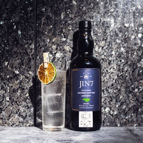 craft gin  debut  japan times