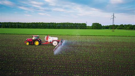 Campo De Pulverização Do Trator Na Mola Imagem de Stock Imagem de