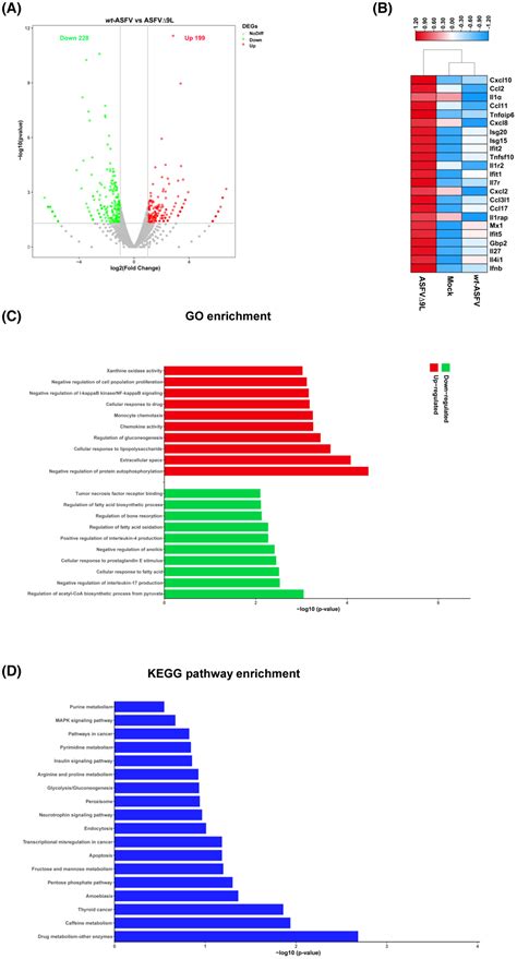 Deletion Of Mgf L Gene From African Swine Fever Virus Weakens