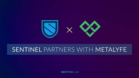 Sentinel Partners With Metalyfe Browser By Sentinel Sentinel Medium