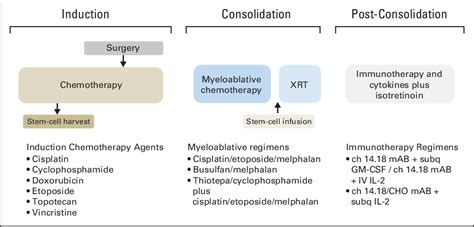 Figure 1 from Advances in Risk Classification and Treatment Strategies ...