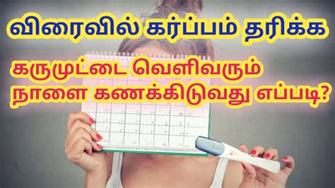 How To Calculate Ovulation Date In Tamil What Is Ovulation