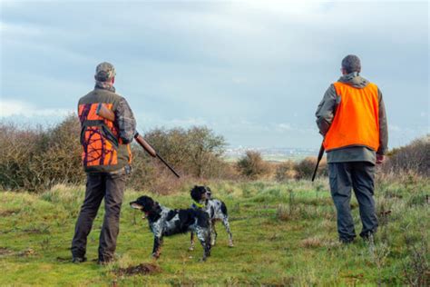 Cartes Chasse Voici Les Dates Douverture Et De Fermeture En 2022