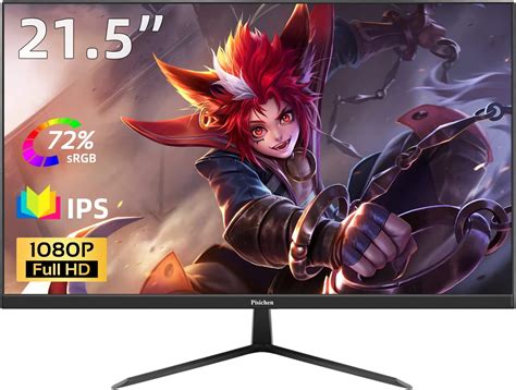 Pisichen Inch Full Hd Pc Monitor Computermonitor Ips Paneel