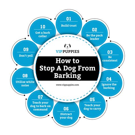 Dog Barking: How to Stop a Dog from Barking