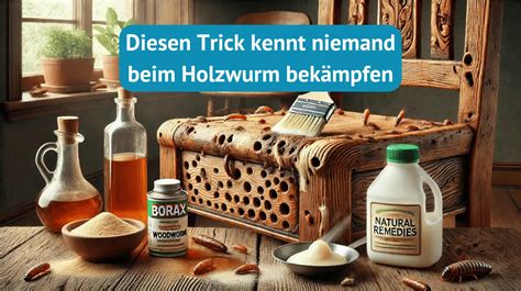 Holzwurm bekämpfen Hausmittel Der Trick den niemand kennt