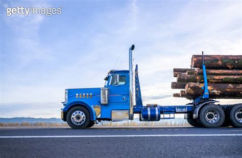 Blue Big Rig Day Cab Semi Truck Transporting Logs On The Semi Trailer