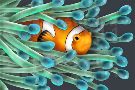 Clownfish and Sea Anemone by ReminiscentRain on DeviantArt