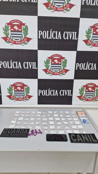 A O Conjunta Entre Pol Cia Civil E Guarda Civil Municipal Culminou Na