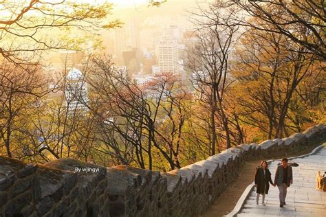 Busan Fall Foliage — 6 Best Busan Attractions In Autumn And Places To