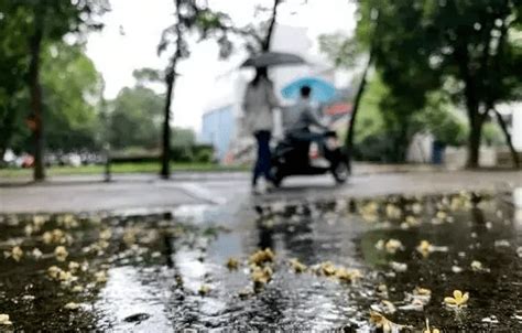 广西各地气温下降，开启阴雨模式，冷空气还将继续南下！桂南地区大部