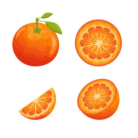 Set Of Orange Fruit Slices Whole Orange With Leaves Half Slice And