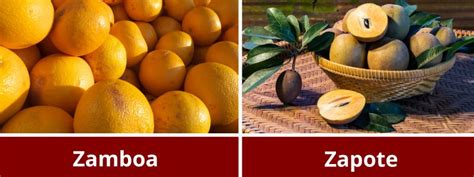 Fruta Com A Letra Z - Frutas o Verduras con la letra Z: Listado completo en 2026