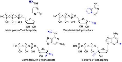 Antibacterial Triphosphates Different Use Of Nucleoside Analogues