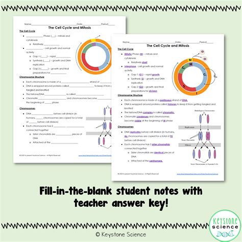 Cell Cycle And Mitosis Powerpoint And Guided Notes Biology