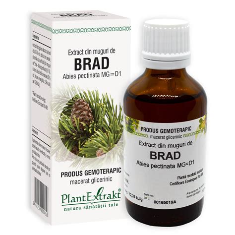 Extract Din Muguri De Brad 50 Ml PlantExtrakt Bebe Tei