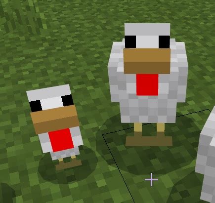 【マイクラ】ニワトリの特徴や増やし方などを初心者向けに解説！ ｜ ひきこもろん