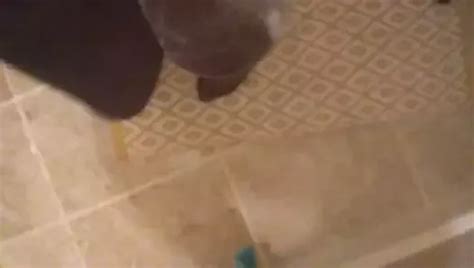 Free Pantyhose Wank Gay Porn Videos Xhamster