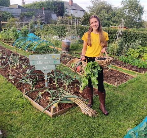 Allotment Gardening Organic Gardening Veg Patch Broad Bean