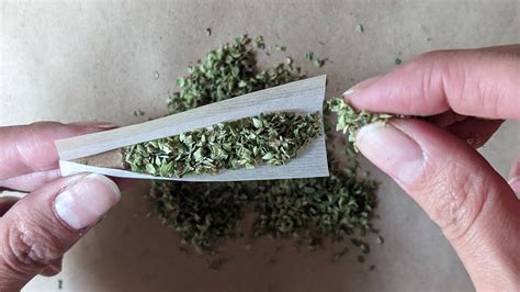 How To Roll A Joint Popular Science