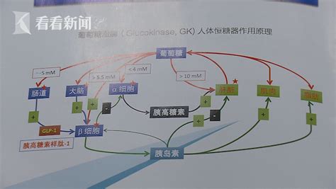 全球首创糖尿病药物iii期临床数据公布唤醒总参擒糖先擒王全球首创糖尿病药物iii期临床数据公布看看新闻网