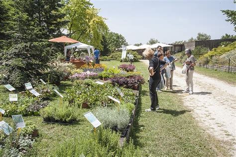 Orto Botanico Hortus Fa Il Pieno Oltre 4000 I Visitatori Alla Mostra