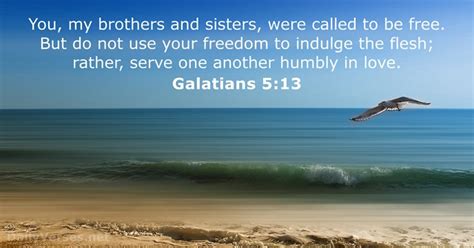 Galatians 5 13 Bible Verse DailyVerses Net