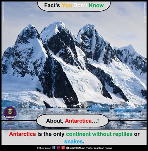 Antarctica Is the Only Continent Without Reptiles or Snakes