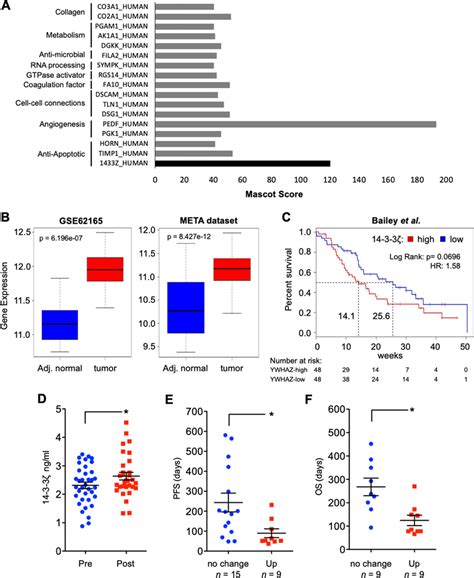 14 3 3ζ is expressed in MØApopCM and in human PDAC samples a