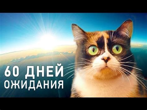 КУКИ В КОСМОСЕ - Трейлер - YouTube