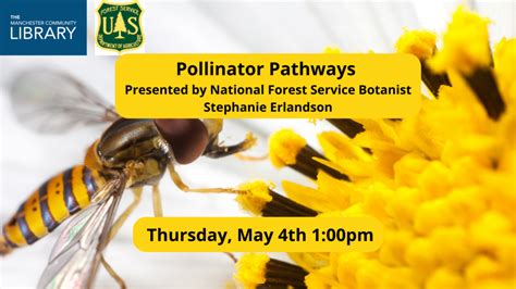 Pollinator Pathways Presented By National Forest Service Botanist Stephanie Erlandson