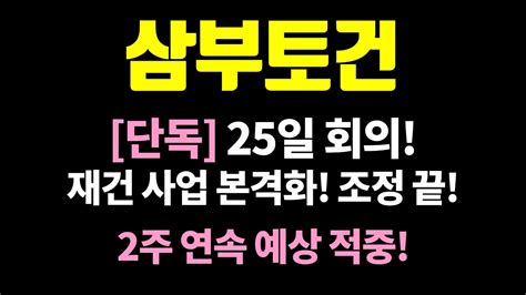 삼부토건 주가전망 단독 8월 우크라이나 급파 25일 회의 재건사업 본격화 Youtube