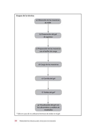 Electroforesis Gel De Agarosa Pdf