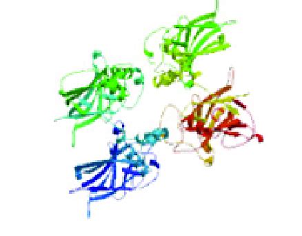 3D protein structure of the TP53 protein gene; tumour protein. | Download Scientific Diagram