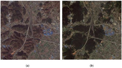 Applied Sciences Free Full Text Multilayer Perceptron Based Phenological And Radiometric