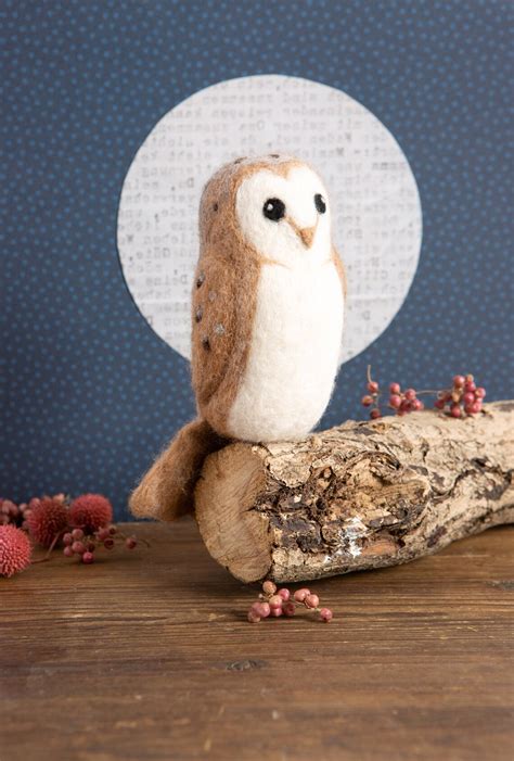 Barn Owl Needle Felting Kit Craft Kit For Beginners Etsy