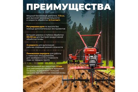 Бензиновый культиватор ASILAK SL-85B AS1529-8 - выгодная цена, отзывы ...